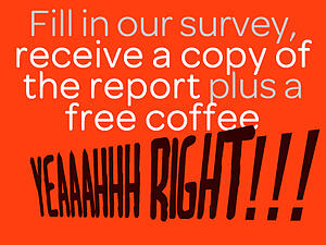 fill in our survey and get a copy of the report yeah right