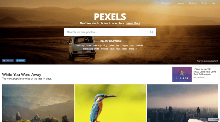 Pexels-free-royalty-image-websites.png