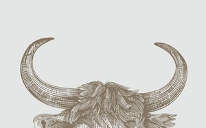 brightbull-ctaArtboard 1
