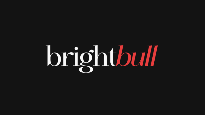 Brightbull black logo